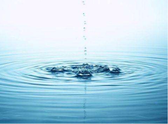 ����Ƶ��